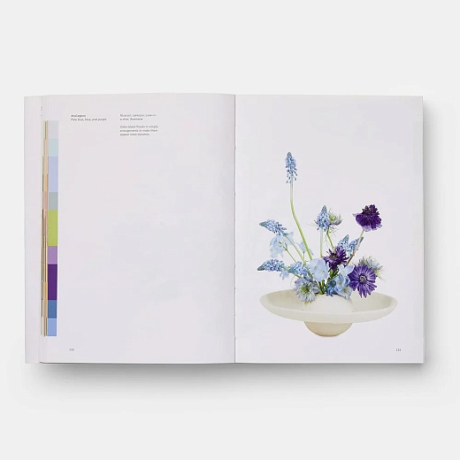 Книга Flower Colour Theory