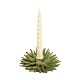 Подсвечник Spine Light Green в интернет-магазине The Dar