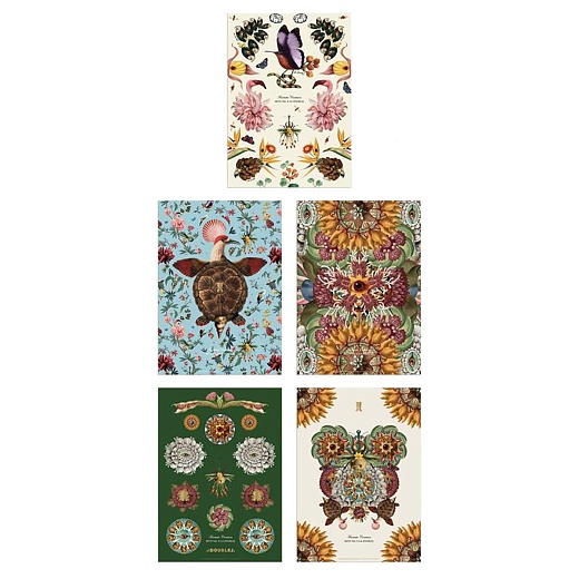 Набор стикеров Fantastic Creatures, 5&nbsp;шт.