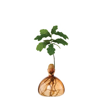 Ваза Acorn Coloured Sweet Apricot