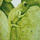 Ваза Cactus XXL в интернет-магазине The Dar