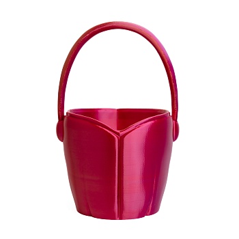Vederko Fuchsia