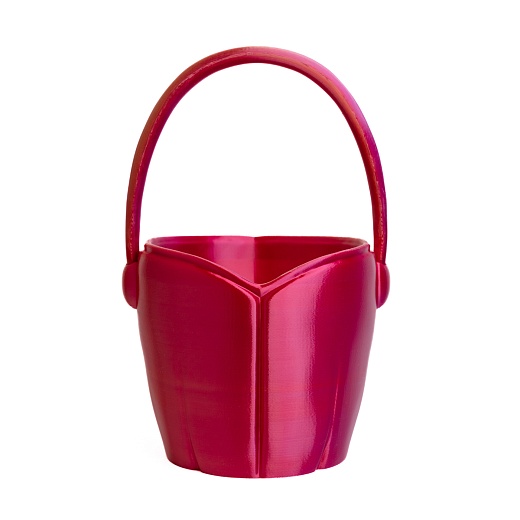 Vederko Fuchsia