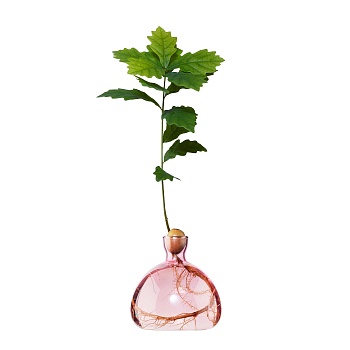 Ваза Acorn Coloured Rose Pink