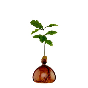 Ваза Acorn Coloured Russet Brown