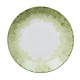 Столовая тарелка Cercle D'Ecailles Green в интернет-магазине The Dar