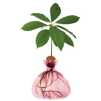 Ваза Avocado Coloured Rose Pink