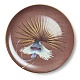 Набор тарелок Paradise Color V, 2 шт в интернет-магазине The Dar