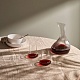Декантер для вина Vini в интернет-магазине The Dar