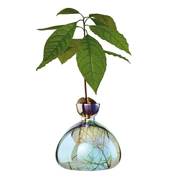 Ваза Avocado Cosmic Lyra