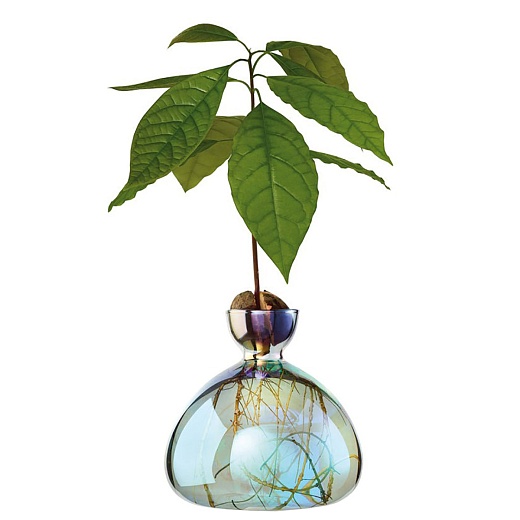 Ваза Avocado Cosmic Lyra