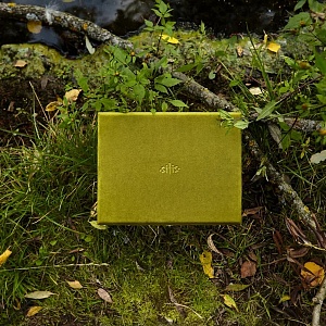 Шкатулка Olive, одноуровневая