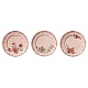 Столовые тарелки Veranda Pink, 3 шт в интернет-магазине The Dar