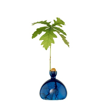 Ваза Acorn Coloured Lapis Blue
