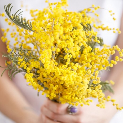 Диффузор (черный бук) Mimosa с ротанговыми палочками
