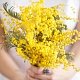 Диффузор (черный бук) Mimosa с ротанговыми палочками в интернет-магазине The Dar