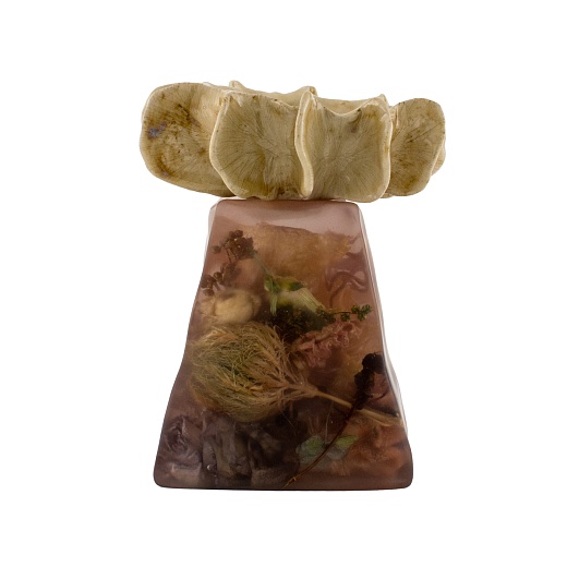 Икорница «Нэйма» 