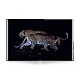 The Black Leopard в интернет-магазине The Dar