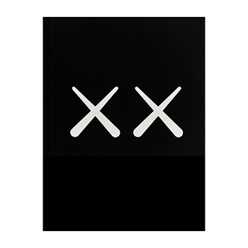 Книга KAWS + Warhol