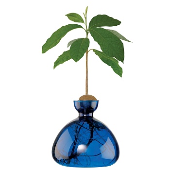Ваза Avocado Coloured Lapis Blue