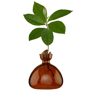 Ваза Avocado Coloured Russet Brown