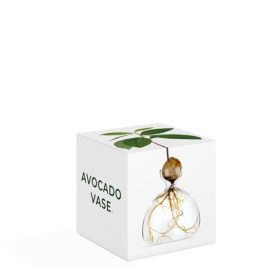 Ваза Avocado Clear