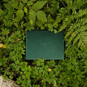 Шкатулка Emerald, одноуровневая